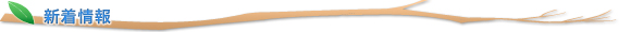 新着情報